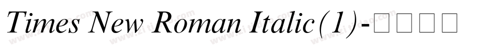 Times New Roman Italic(1)字体转换